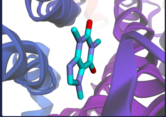 Rasayana Lab